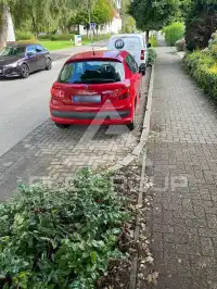 2007 Peugeot 207