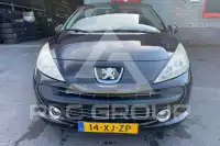 2007 Peugeot 207