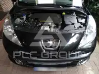 2007 Peugeot 207