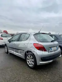 2007 Peugeot 207