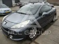 2007 Peugeot 207