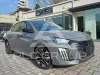 2007 Peugeot 207