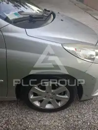 2007 Peugeot 207