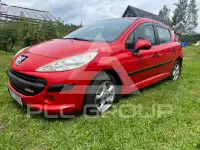 2007 Peugeot 207