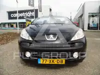 2007 Peugeot 207