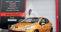 2007 Peugeot 207