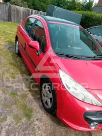 2007 Peugeot 207