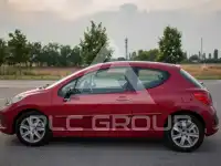 2007 Peugeot 207