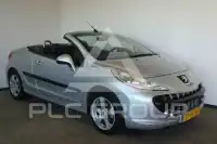 2007 Peugeot 207