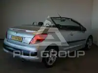2007 Peugeot 207