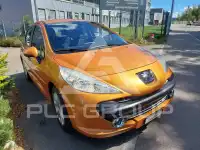 2007 Peugeot 207