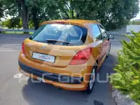 2007 Peugeot 207