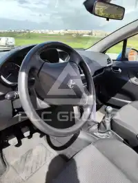 2007 Peugeot 207