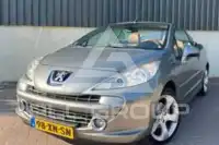 2007 Peugeot 207