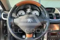 2007 Peugeot 207