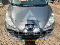 2007 Peugeot 207