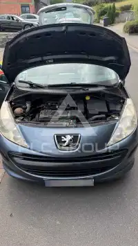 2007 Peugeot 207