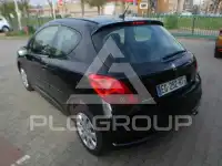 2007 Peugeot 207