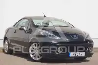 2007 Peugeot 207