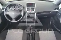 2007 Peugeot 207