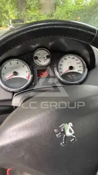 2007 Peugeot 207