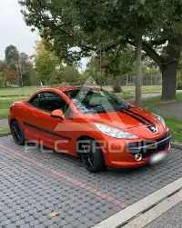 2007 Peugeot 207