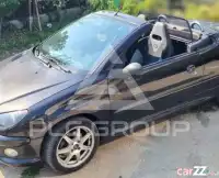 2007 Peugeot 206