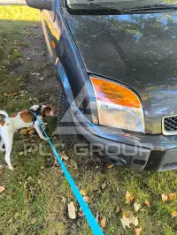 2007 Ford FUSION