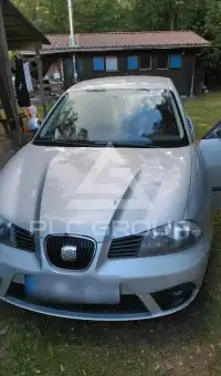 2007 Seat Ibiza