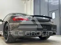 2008 Porsche Cayman