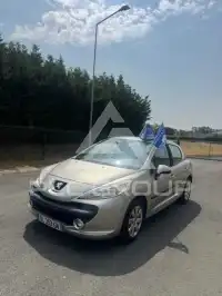 2008 Peugeot 207