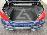 2008 Peugeot 207