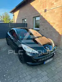 2008 Peugeot 207