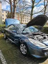 2008 Peugeot 307