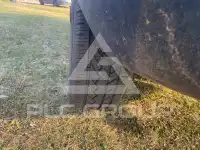 2008 Ford FUSION