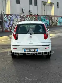 2009 Fiat Punto