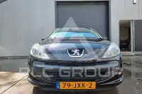 2009 Peugeot 206