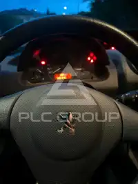 2009 Peugeot 1007