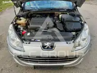 2009 Peugeot 407