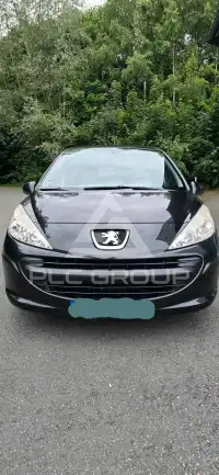 2009 Peugeot 207