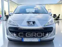 2009 Peugeot 207