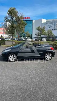 2009 Peugeot 207