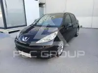2009 Peugeot 207