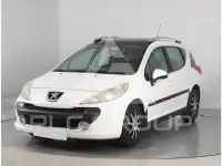 2009 Peugeot 207