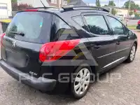 2009 Peugeot 207