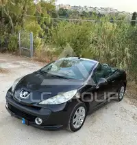 2009 Peugeot 207