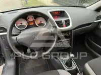 2009 Peugeot 207