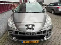 2009 Peugeot 207