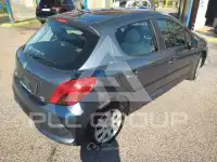 2009 Peugeot 207