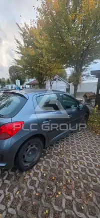 2009 Peugeot 207